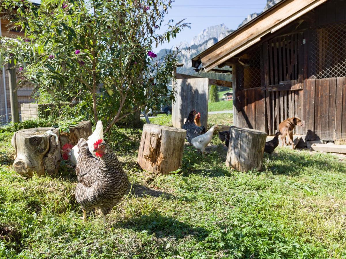 Narzenhof Wellness Chalets, Familien & Luxus Apartments Am Bauernhof Санкт-Йоганн-ін-Тіроль Екстер'єр фото