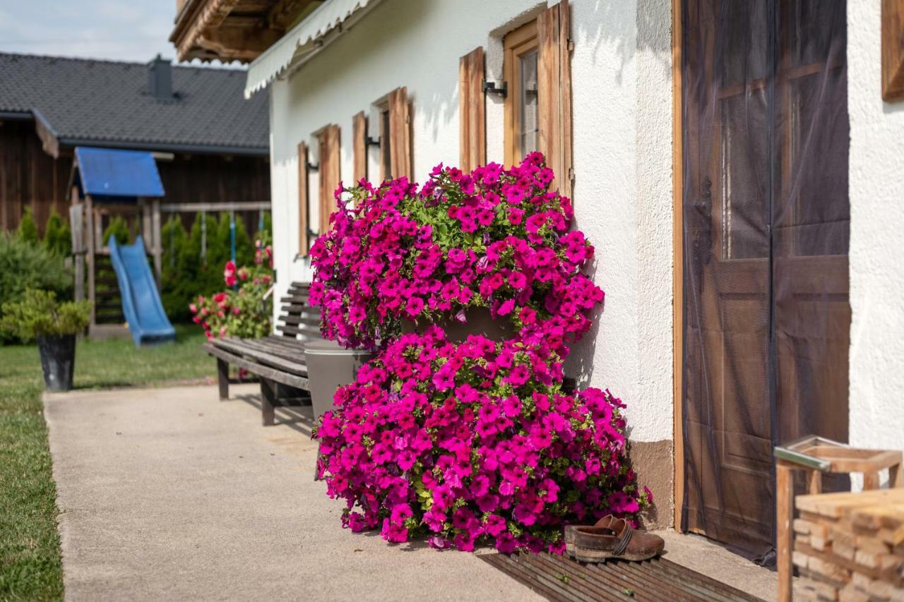Narzenhof Wellness Chalets, Familien & Luxus Apartments Am Bauernhof Санкт-Йоганн-ін-Тіроль Екстер'єр фото